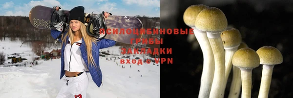 шишки Козельск