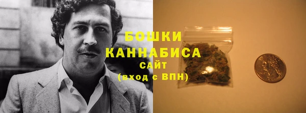 шишки Козельск