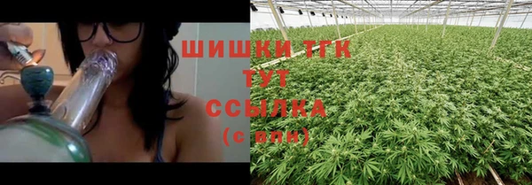 шишки Козельск