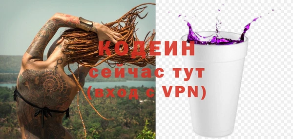 шишки Козельск