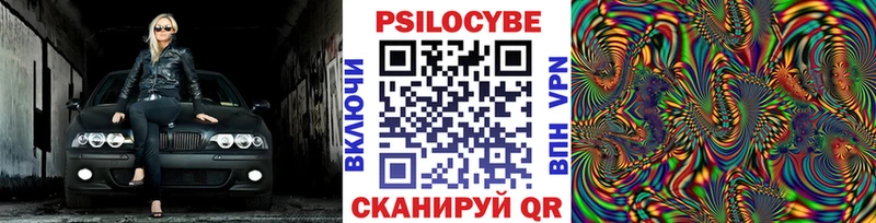 Купить  Кедровый  Галлюциногенные грибы Magic Shrooms 